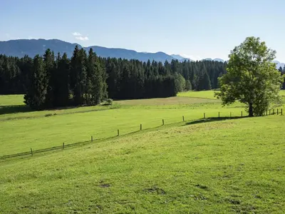Naturlandschaft in der Nähe des Ferienhauses
