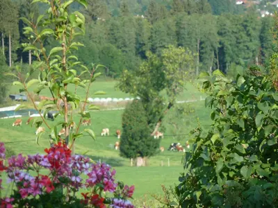 Naturlandschaft in der Nähe der Ferienwohnung