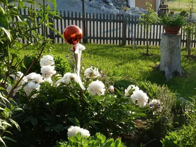 Ein Garten an der Unterkunft Ferienwohnung Hörnle