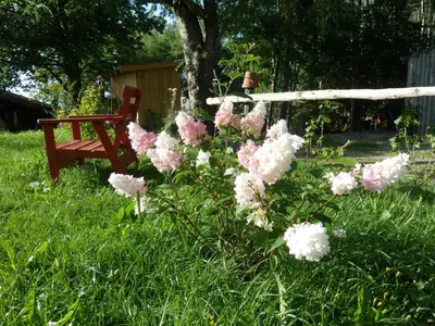 Ein Garten an der Unterkunft Ferienwohnung Hörnle