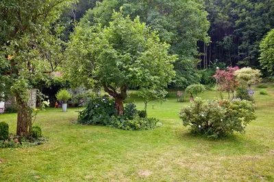Ein Garten an der Unterkunft Ferienwohnung Deubzer in Palling