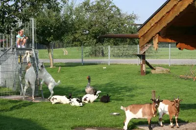 Tiere in diesem Bauernhof oder in der Nähe