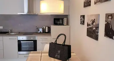 Küche/Küchenzeile in der Unterkunft VILLA BERGAUF, Studio Apartment König Ludwig II Kini INKL KÖNIGSCARD !!