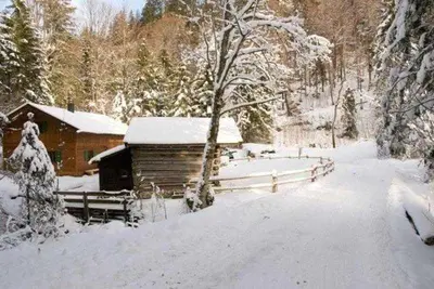 Almhaus Webermohof im Winter