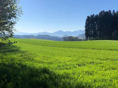 Naturlandschaft in der Nähe des Ferienhauses
