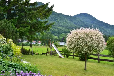 Naturlandschaft in der Nähe der Ferienwohnung