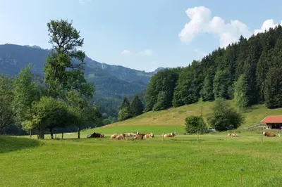 Naturlandschaft in der Nähe der Ferienwohnung