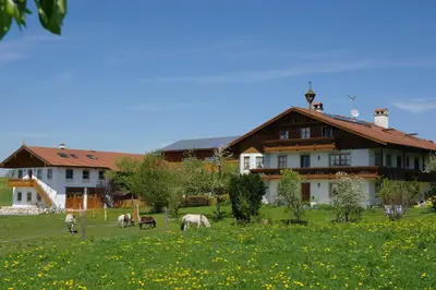 Ein Garten an der Unterkunft Berghof Walser
