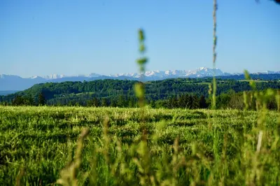 Naturlandschaft in der Nähe der Ferienwohnung