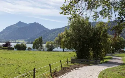 Naturlandschaft in der Nähe der Ferienwohnung
