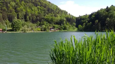 Naturlandschaft in der Nähe der Ferienwohnung