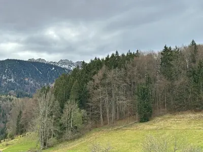 Naturlandschaft in der Nähe der Ferienwohnung