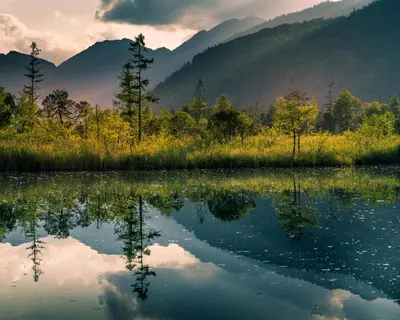 Naturlandschaft in der Nähe der Ferienwohnung