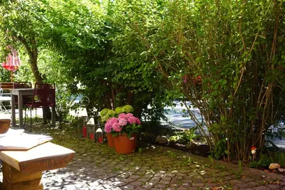 Ein Garten an der Unterkunft Landgasthof Auerschmiede