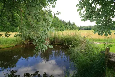 Naturlandschaft in der Nähe des Hotels