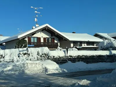 Goldbichl im Winter