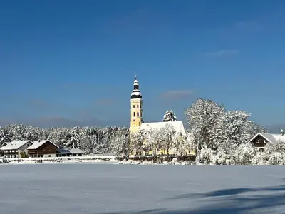 Goldbichl im Winter
