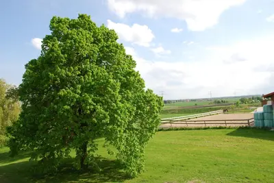 Naturlandschaft in der Nähe des Hotels