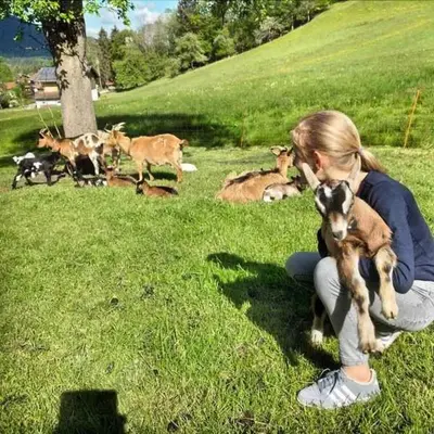Tiere in diesem Bauernhof oder in der Nähe
