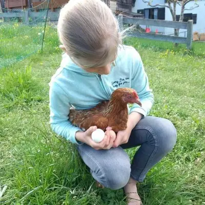 Tiere in diesem Bauernhof oder in der Nähe