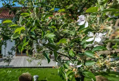 Ein Garten an der Unterkunft Ferienhaus Schlierachtal