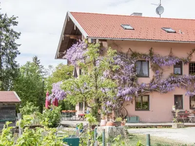 Ein Garten an der Unterkunft Beim Danner
