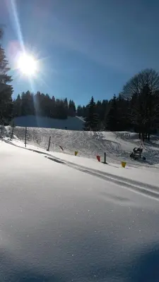 Alpenappartements Schwalbennestl im Winter