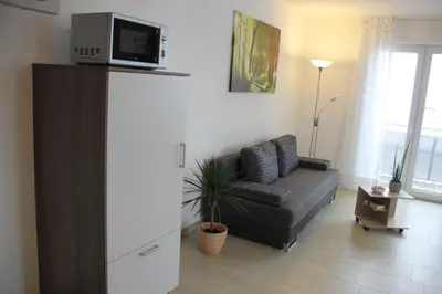 TV/Unterhaltungsangebot in der Unterkunft Boardinghouse Frank