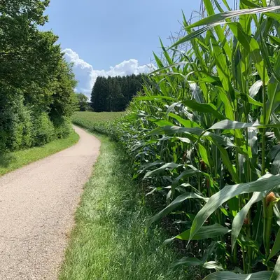 Naturlandschaft in der Nähe des Privatzimmers