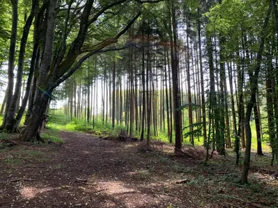 Naturlandschaft in der Nähe des Privatzimmers