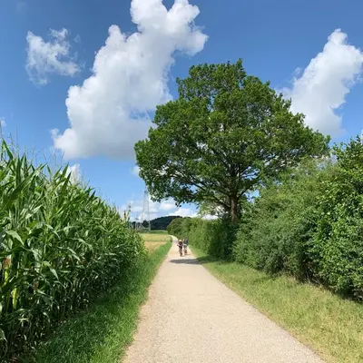 Naturlandschaft in der Nähe des Privatzimmers
