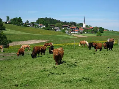 Grundriss der Unterkunft Fürstnerhof Chiemsee