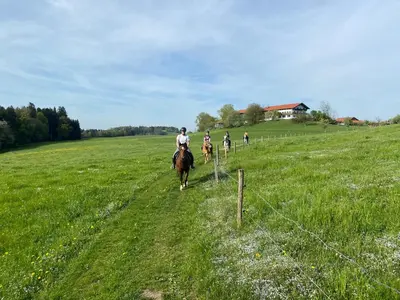 Grundriss der Unterkunft Fürstnerhof Chiemsee