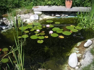 Ein Garten an der Unterkunft My sweet home Aptm 80 qm