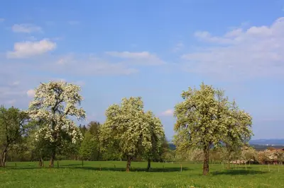 Naturlandschaft in der Nähe der Ferienwohnung
