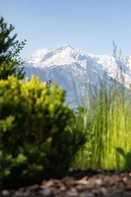 Naturlandschaft in der Nähe des Ferienhauses