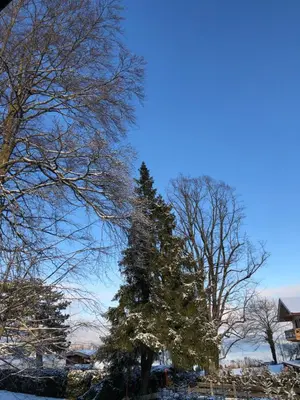 Naturlandschaft in der Nähe des Ferienhauses