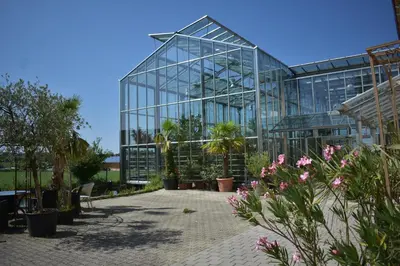 Ein Garten an der Unterkunft Palmengarten