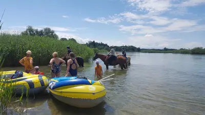 Blick auf einen Fluss in der Nähe der Ferienwohnung