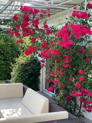 Ein Garten an der Unterkunft Villa Starnberger See