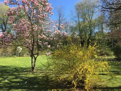 Ein Garten an der Unterkunft Villa Starnberger See