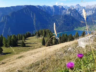 Naturlandschaft in der Nähe der Ferienwohnung