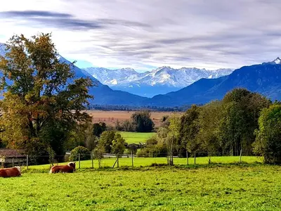 Naturlandschaft in der Nähe der Ferienwohnung