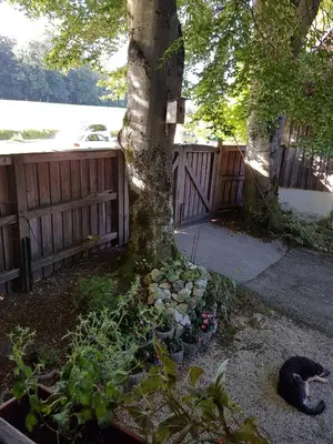 Ein Garten an der Unterkunft Ferienwohnung Kraihof, 83703 Gmund am Tegernsee