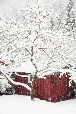 Gipfelkönig im Winter