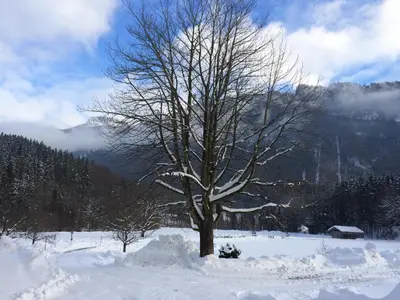 Alpaka-Hof Landinger im Winter