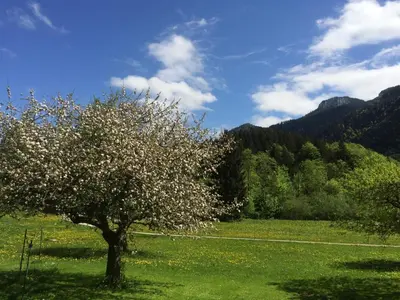 Naturlandschaft in der Nähe der Ferienwohnung