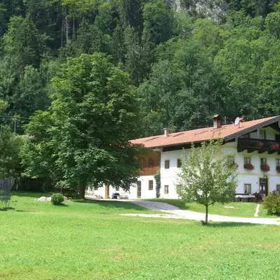 Alpaka-Hof Landinger