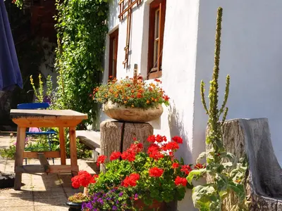 Ein Garten an der Unterkunft Ferienwohnung Schuster am Fellerer