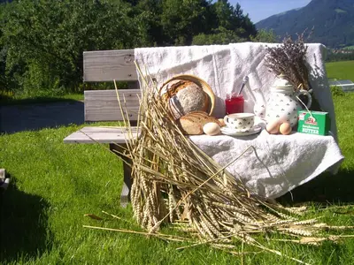 Naturlandschaft in der Nähe des Bauernhofs